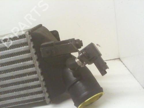 Intercooler Intercooler 38655829 38655829
