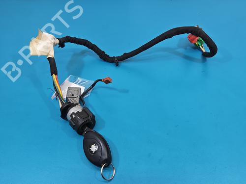 Used Ignition barrel Ignition barrel 38516056 38516056