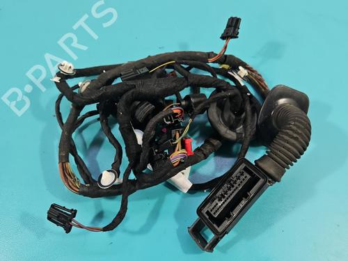 Used Wiring harness Wiring harness AUDI A6 C7 (4G2, 4GC) S6 quattro (420 hp) 38136376 38136376
