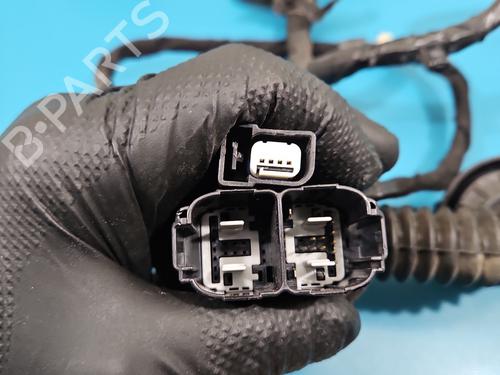 Wiring harness FORD RANGER (TKE)  | BP38147938E16  - Image 7