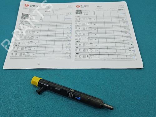 Used Injector Injector RENAULT MEGANE II (BM0/1_, CM0/1_) 1.5 dCi (BM1F, CM1F) (86 hp) 40605929 40605929