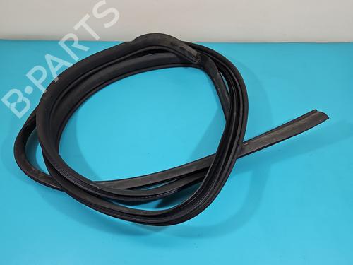 Gummiliste DODGE GRAND CARAVAN 3.6 | BP38126685C142 - Image 6