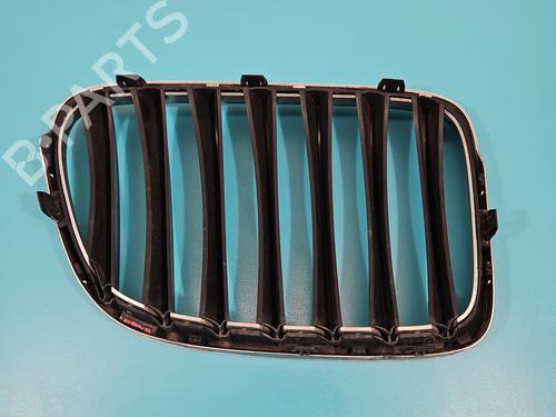 Grill BMW X1 (E84) xDrive 18 d | BP38141266C40 - Image 8