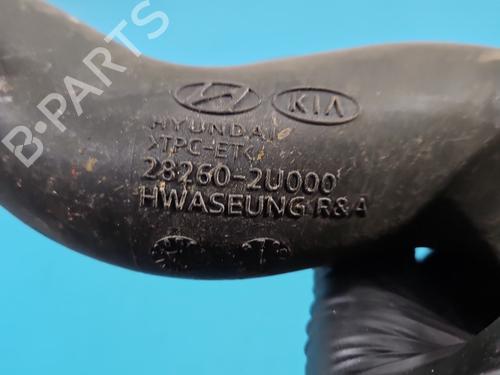 Pipe KIA CEED (CD) | BP40038250M125 - Image 3