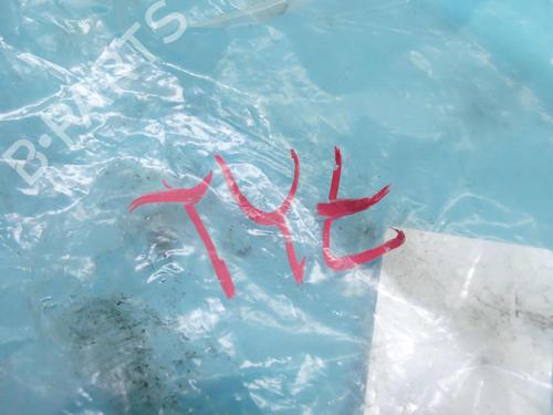 Wiring harness VW PASSAT CC B6 (357) 2.0 TDI | BP37808089E16 - Image 8