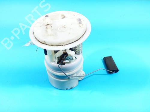 fuel-pump-citroen-c5-iii-break-rw_-2008-2009-2010-2011-2012-2013-2014-2015-2016-2017-37888116 main image