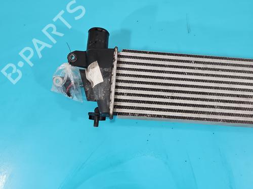 Intercooler ISUZU D-MAX II (TFR, TFS) 2.5 CRDi 4x4 (TFS86J) | BP38116487M30 - Image 6