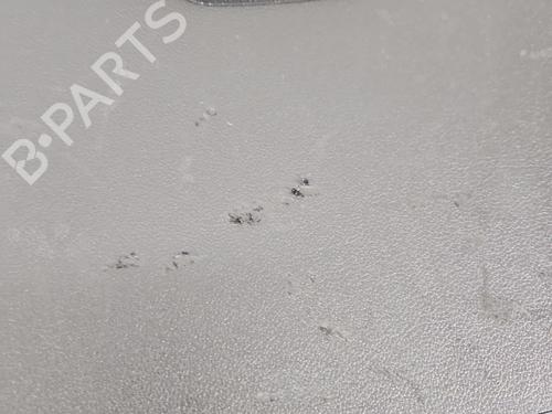 Boot lining SKODA OCTAVIA III Combi (5E5, 5E6) 1.6 TDI | BP38508982I3 - Image 7