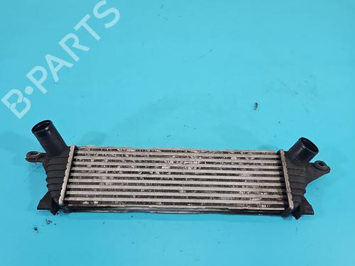 Intercooler RENAULT KANGOO (KC0/1_) 1.9 dCi 4x4 (KC0V) | BP38143431M30 - Image 2