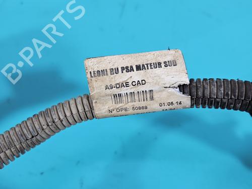 Steering rack PEUGEOT 2008 I (CU_) 1.6 HDi | BP38117754M22 - Image 10