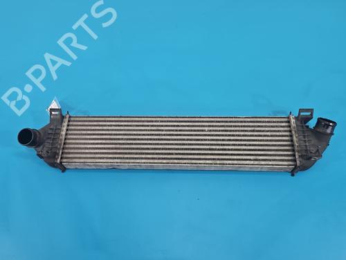 Used Intercooler Intercooler FORD C-MAX II (DXA/CB7, DXA/CEU) 2.0 TDCi (140 hp) 38148138 38148138