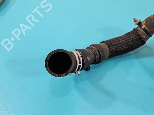 Pipe DACIA SANDERO III | BP38129816M125 - Image 4