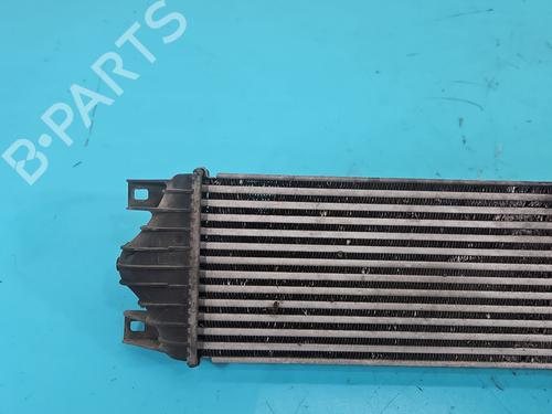 Intercooler OPEL MOVANO A Van (X70) 2.5 DTi (FD) | BP38150334M30 - Image 7