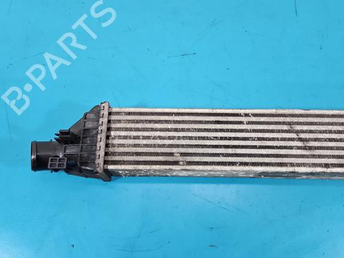 Intercooler FIAT FREEMONT (345_) 2.0 JTD | BP37833524M30 - Image 3
