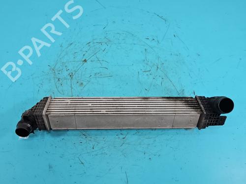 Used Intercooler Intercooler RENAULT SCÉNIC III (JZ0/1_) 1.6 dCi (JZ00, JZ12) (130 hp) 38139896 38139896