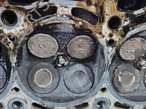 Cylinder head SEAT LEON (1M1) 1.6 16 V | BP39987309M5  - Image 13