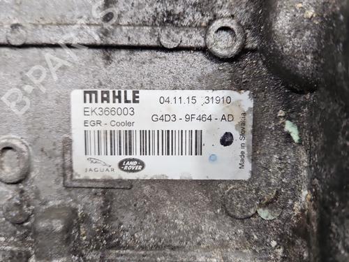 Egr JAGUAR XE (X760) 2.0 D | BP37826937M69 - Image 3