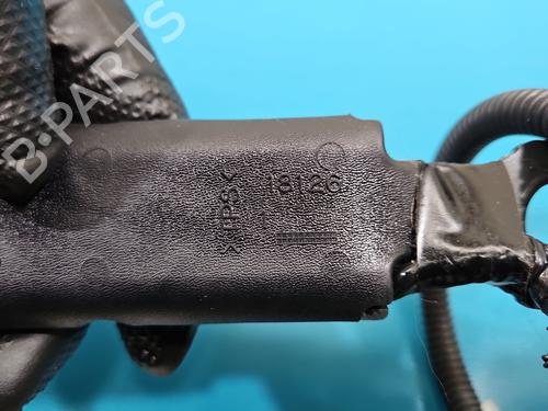 Front right seatbelt LEXUS NX (_Z1_) 300h AWD (AYZ15, AYZ15_, AYZ15R) | BP37842202I25 - Image 6