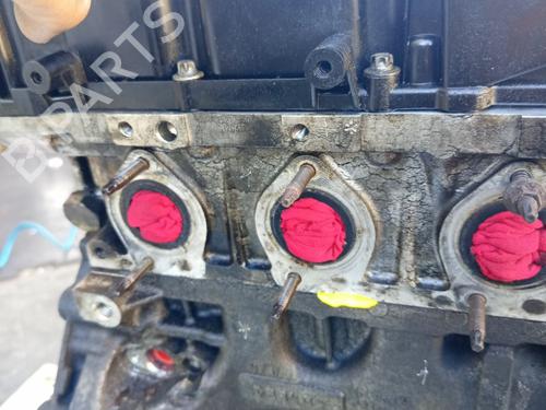 Engine BMW 5 Touring (F11) 525 d xDrive | BP39169330M1 - Image 161