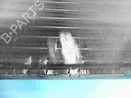 Water radiator RENAULT KANGOO (KC0/1_) 1.5 dCi (KC08, KC09) | BP37810150M31 - Image 2