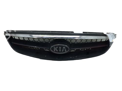 Used Grille Grille 38152661 38152661