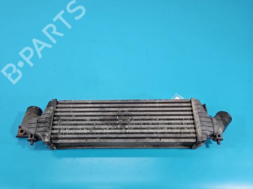 Intercooler NISSAN PRIMERA Hatchback (P12) | BP38772868M30 - Image 3