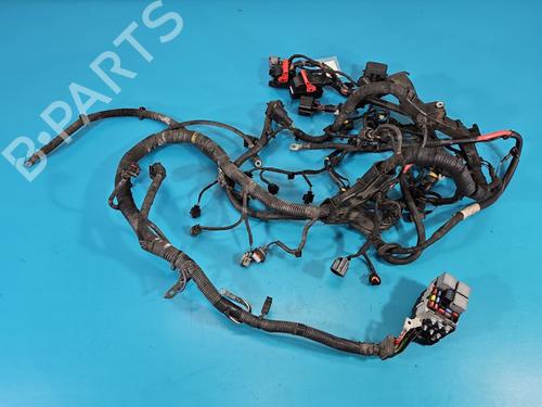 Used Wiring harness Wiring harness VOLVO XC60 I SUV (156) D3 / D4 (163 hp) 39648424 39648424