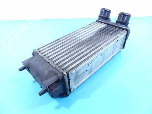 Intercooler DS DS 4 / DS 4 CROSSBACK (NX_) 1.6 BlueHDi 120 | BP37888814M30 - Image 2