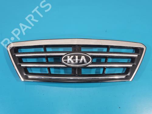 Used Grille Grille 38701574 38701574