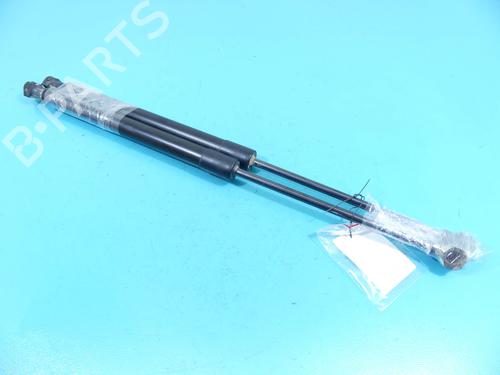 tailgate-lift-support-dacia-sandero-iii-2021-37887284 main image