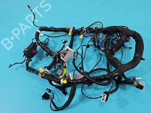 Wiring harness TESLA MODEL S (5YJS) P85 | BP38123453E16 - Image 1