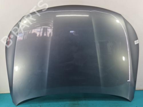 hood-vw-passat-cc-b6-357-2008-2009-2010-2011-2012-37810775 main image