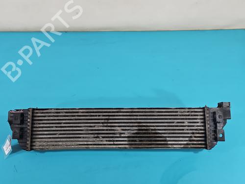 Intercooler RENAULT MASTER III Van (FV) 2.3 dCi 145 FWD (FV0E, FV0F, FV0H, FV02, FV0M, FV0S,... | BP38121715M30  - Image 8