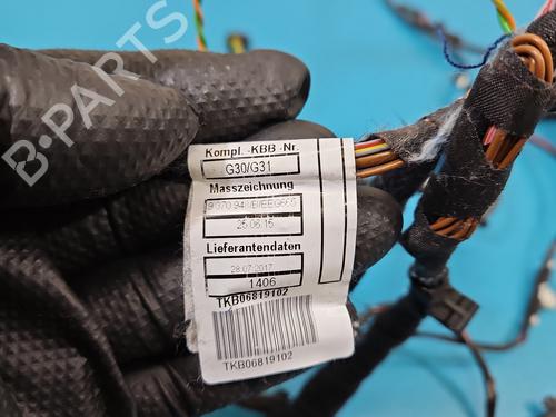 Wiring harness BMW 5 Touring (G31) 520 d | BP37851170E16  - Image 6