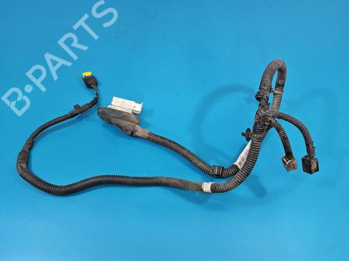 Used Wiring harness Wiring harness MERCEDES-BENZ CITAN Box Body/MPV (W415) [2012-2021] 39973624 39973624