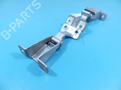 hingedoor-check-strap-renault-kangoo-express-fw01_-2008-37885163 main image
