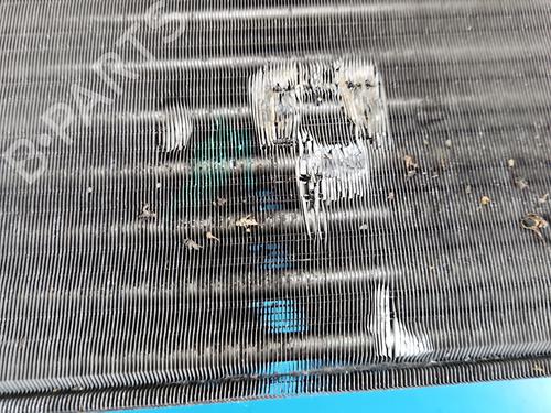 Water radiator FIAT PANDA (169_) 1.1 (169.AXA1A) | BP37858663M31 - Image 4