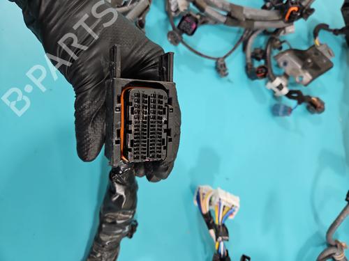 Wiring harness SUZUKI VITARA (LY) 1.4 Hybrid (Mild Hybrid) AllGrip (APK414) | BP38135530E16 - Image 7