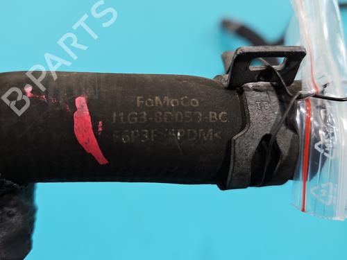 Pipe FORD S-MAX (CJ, WA6) 2.0 EcoBlue | BP38140336M125  - Image 9