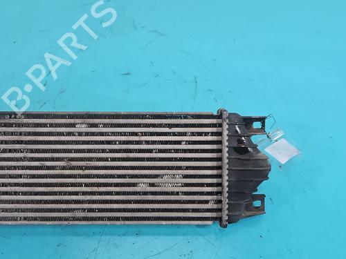 Intercooler OPEL MOVANO A Van (X70) 2.5 DTi (FD) | BP38150334M30 - Image 6