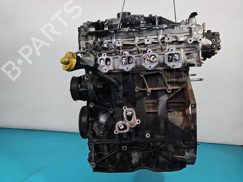 Engine RENAULT KOLEOS I (HY_) 2.0 dCi 4x4 (HY0B) | BP38303275M1 - Image 3