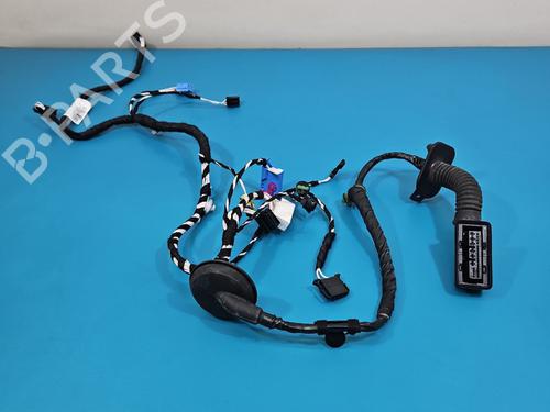 Ledningsnet Ledningsnet VW TIGUAN (AD1, AX1) 2.0 TDI (150 hp) 37830053 37830053