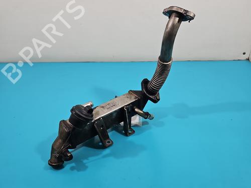 Used Egr Egr 38117321 38117321