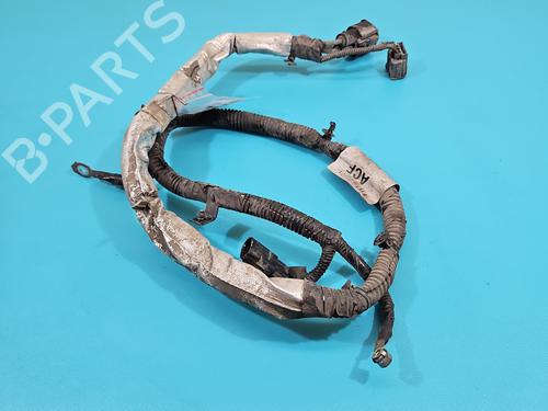 Used Wiring harness Wiring harness 38135993 38135993