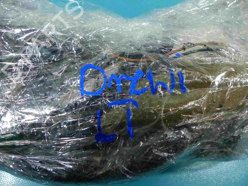 Wiring harness INFINITI QX70 30d AWD | BP37884716E16 - Image 5