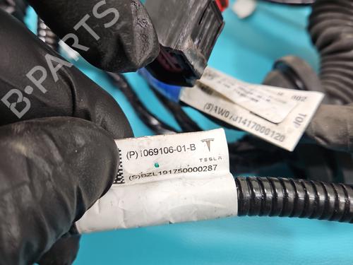 Wiring harness TESLA MODEL S (5YJS) P85 | BP38123438E16 - Image 13