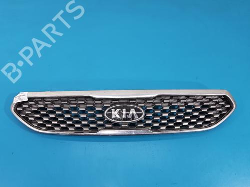 Grille Grille 38646876 38646876