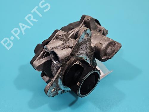 Egr Egr 37819684 37819684