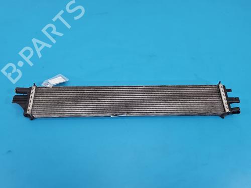 Used Water radiator Water radiator RENAULT MASTER III Van (FV) 2.3 dCi 165 FWD (FV0P, FV0U, FV11, FV12, FV1E) (163 hp) 38150054 38150054