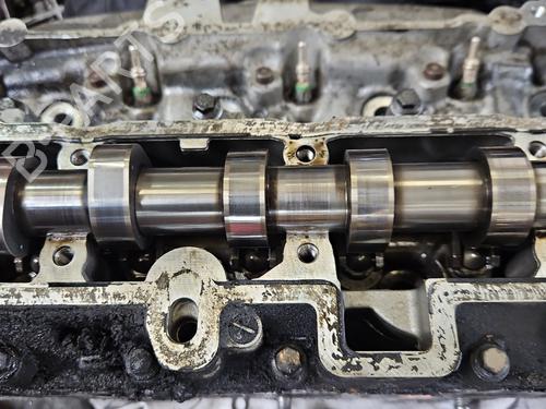 Cylinder head FORD TRANSIT CONNECT V408 Box Body/MPV | BP38141164M5 - Image 3